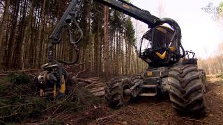 Harvesteres fakitermelés, forwarderes közelítéssel