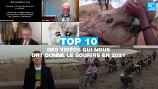 TOP 10 des vidéos qui nous ont donné le sourire en 2021 • FRANCE 24