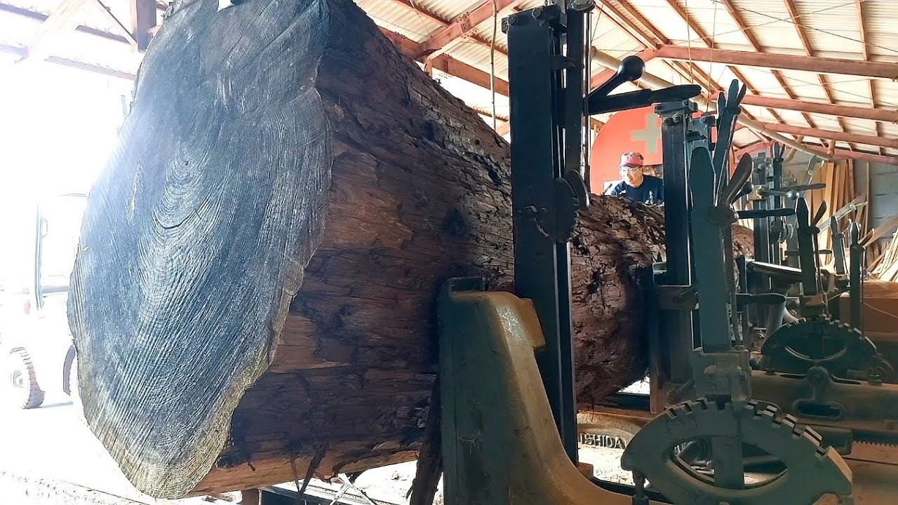 #101　巨杉を7枚におろす！　“笹杢”出現！！　芯は25cmの極厚に！！！　樹齢150年／全長5.6m／最大径1.3m　Saw a huge cedar tree into 7 pieces!