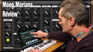 Moog Mariana Bass Synthesizer Review