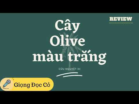 Cành Olive Màu Trắng - [Cây Olive Màu Trắng] Khi Đau Thương Bỗng Hoá Dịu Dàng