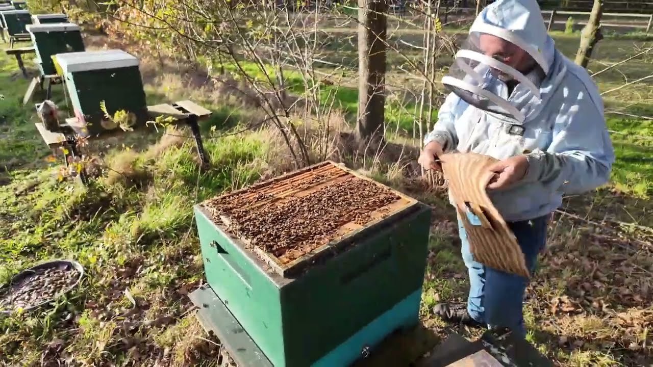 Aangepaste broedruimte 2 voorbeelden