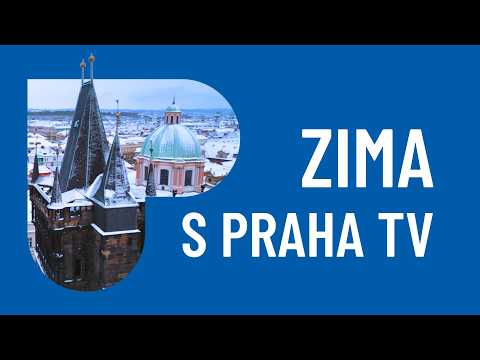 Od prvního ponoru po zimní závody: Průvodce otužováním v Praze a Středočeském kraji