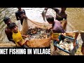 Fishing Net Video - Traditional Net Fishing in Village