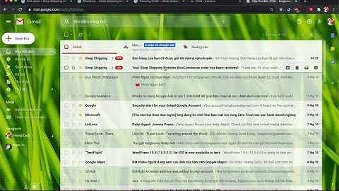 Shipping Vietnam WooCommerce PRO - Tích Hợp Giao Hàng Tiết Kiệm