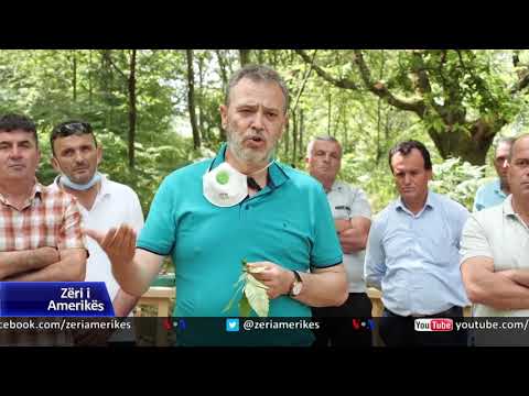 Video: Mbrojtja e pemëve gjatë ndërtimit: Këshilla për mbrojtjen e pemëve në zonat e ndërtimit