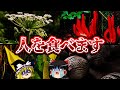【ゆっくり解説】ガチでヤバすぎる殺人植物7選!恐ろしすぎる超危険な植物
