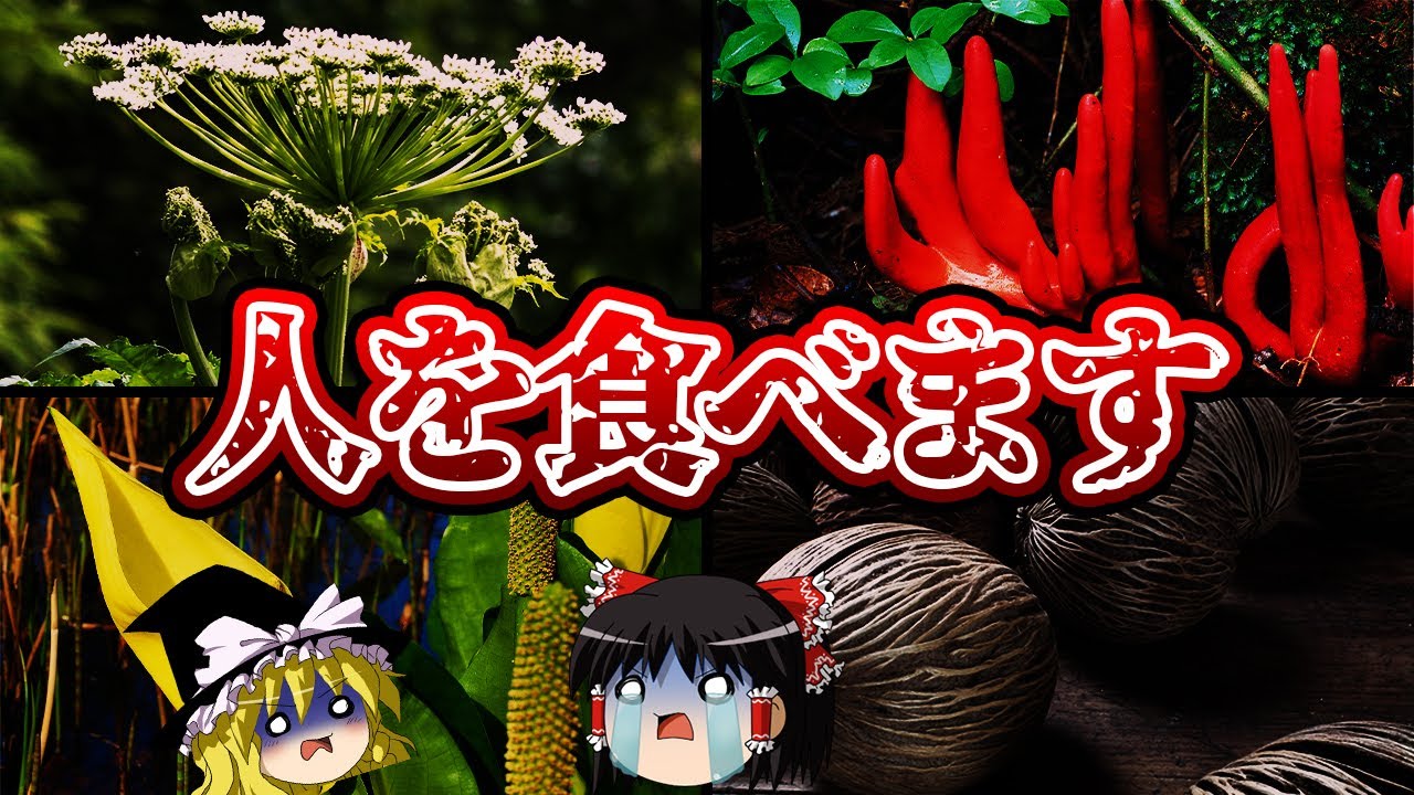 【ゆっくり解説】ガチでヤバすぎる殺人植物7選!恐ろしすぎる超危険な植物
