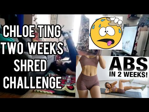 CHLOE TING Abs IN 2WEEKS CHALLENGE // DAY 1 Of Chloe Ting challenge with a twiced