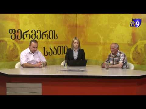 \"ფერმერის საათი\" – მეცხვარეობა და დარგის განვითარებასთან დაკავშირებული პრობლემები