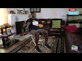Chair Workouts Get Rid Of Back Flab Chair Workouts Get Rid Of Back Flab