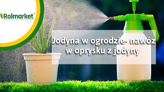 Jak zrobić oprysk grzybobójczy z jodyny? | Rolmarket.pl