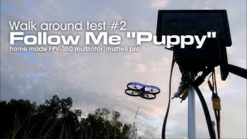 Walk around test #2: Follow Me "Puppy" drone - autonomous FPV-350 quadcopter (Banggood.com V262)
