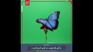 لقارئ : ⟨ ⁧‫عبدالباسط‬⁩ عبدالصمد رحمه الله/ سورة الأعلى ⟩