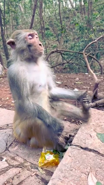 HIDUP BUTUH KETENANGAN#viral #viralvideo #santai #tenang #shorts
