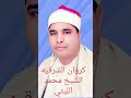 الشيخ محمد الليثي سورة لقمان من النجوم 