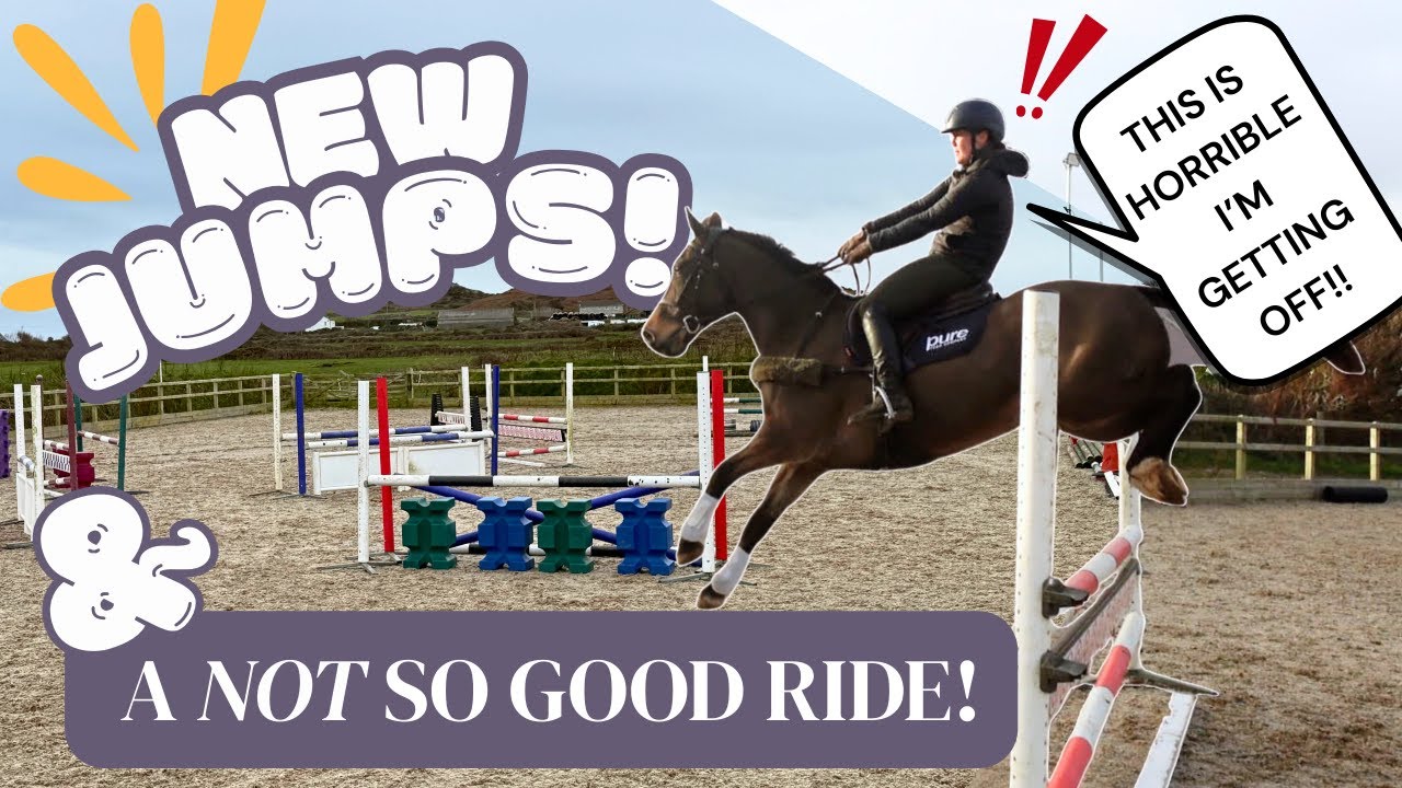 Новые прыжки, неудачная поездка и летающий пони… Первый видеоблог после возвращения!