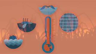 Iflscience Tackling Climate Change Issues Is Everyones Business