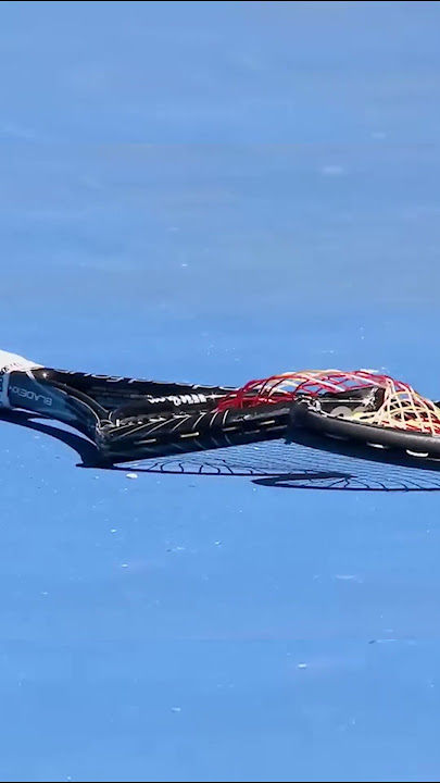 Serena Williams Meltdown!  #tennis