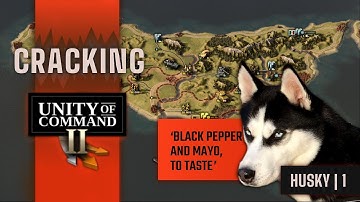 Husky in Unity of Command 2 | 100% Guide
