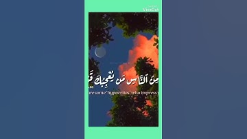 تلاوه تريح القلب من الشيخ فارس عباد ❤️🎧