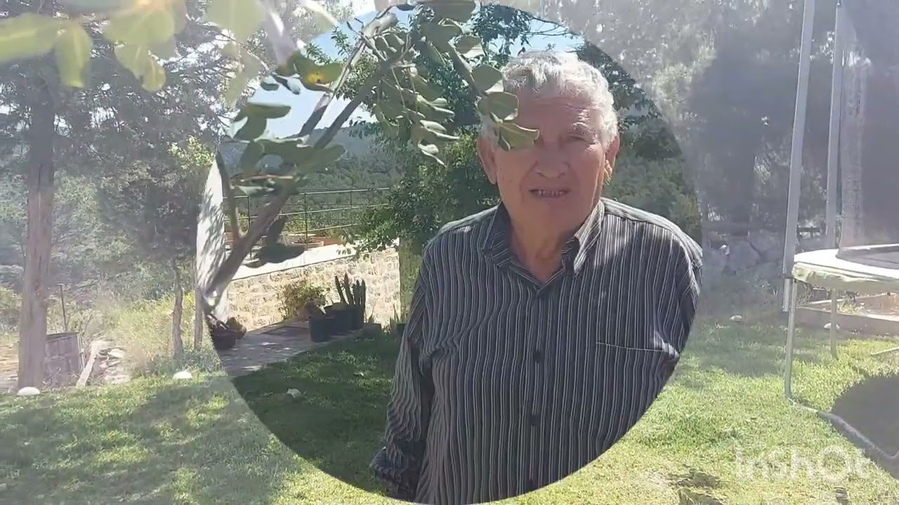 INJERTOS EN ALGARROBO