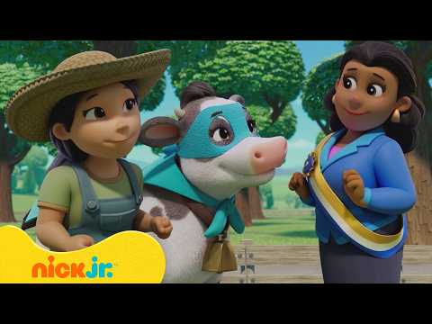 מפרץ ההרפתקאות 🐾: תחרות פרת העל | ניק ג'וניור