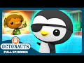 @Octonauts - 🦦 The Junior Recruits 🦺 | Bumper Pack Special! | Explore the Ocean