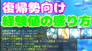 復帰勢向け経験値の盛り方！【メイプルストーリー】