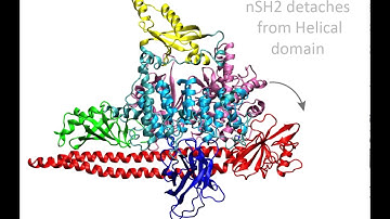 Steered MD simulation of the PI3Ka mutant in its E545K form