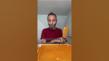 Understanding the Control Display