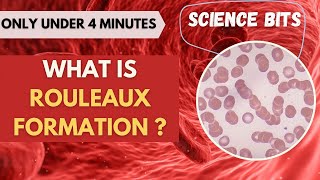 Science Bits: What is Rouleaux formation? | Under 4 Minutes