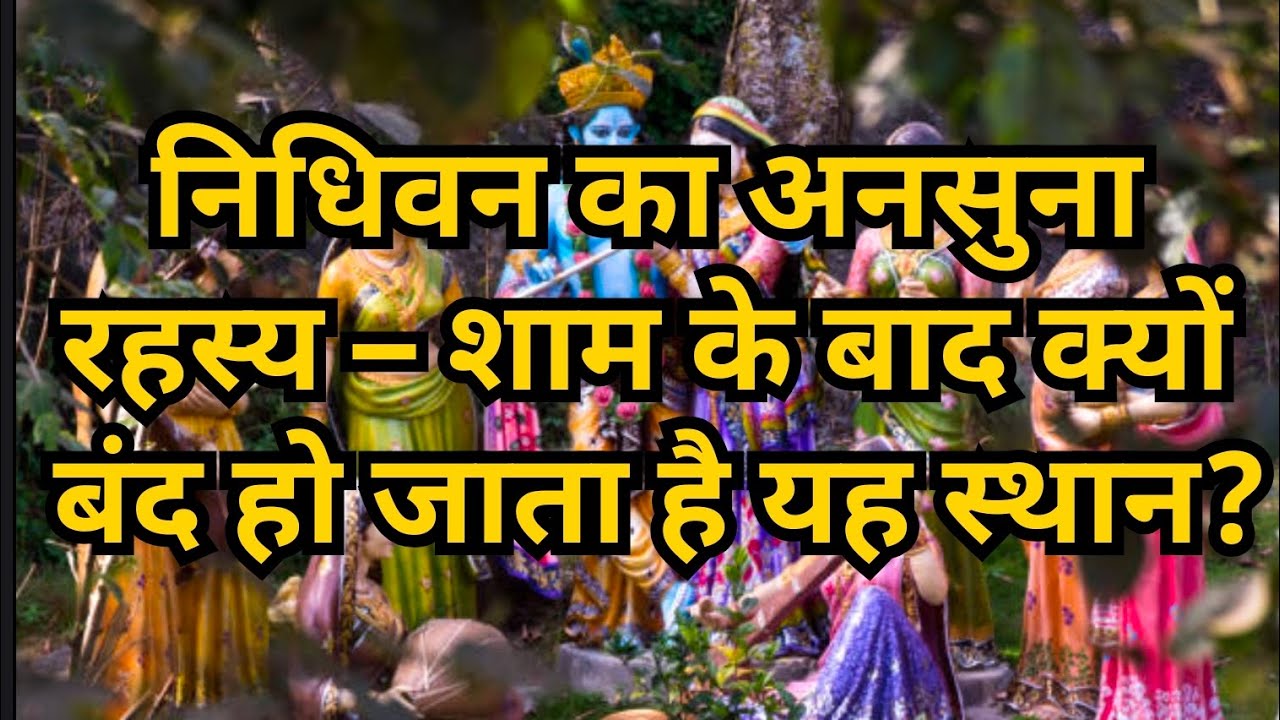 निधिवन का ऐसा रहस्य जिसे जानकर लोग हैरान रह जाते हैं। #RadhaKrishna #SanatanDharma