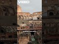 Beyond Gladiators Deeper Stories