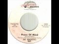The Vontastics - Peace Of Mind.wmv