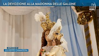 Di Buon Mattino (Tv2000)  La festa della Madonna delle Galline