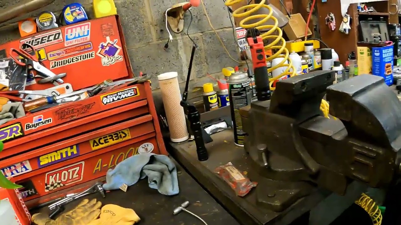 BigDogs2022Гималайские