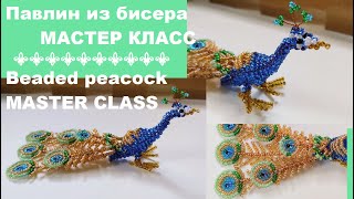 Павлин из бисера МАСТЕР КЛАСС 🦚⚜   (Beaded peacock MASTER CLASS 🦚⚜)