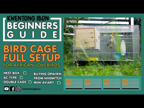 Video: Paano Mag-set Up Ng Perpektong Bird Cage