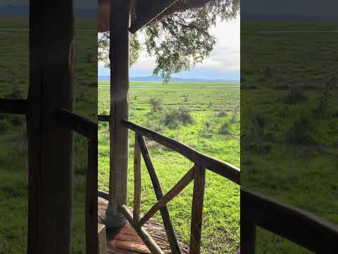 Βίντεο: Εθνικό Πάρκο Katavi: Ο πλήρης οδηγός