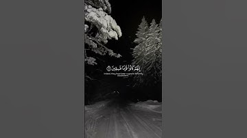 تلاوة تريح القلب وتُسكن الروح