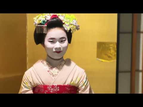 Dinner with Maiko in a Traditional Kyoto Style Restaurant Tour by MagicalTrip