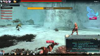 Vindictus Lag Glitch/Bug