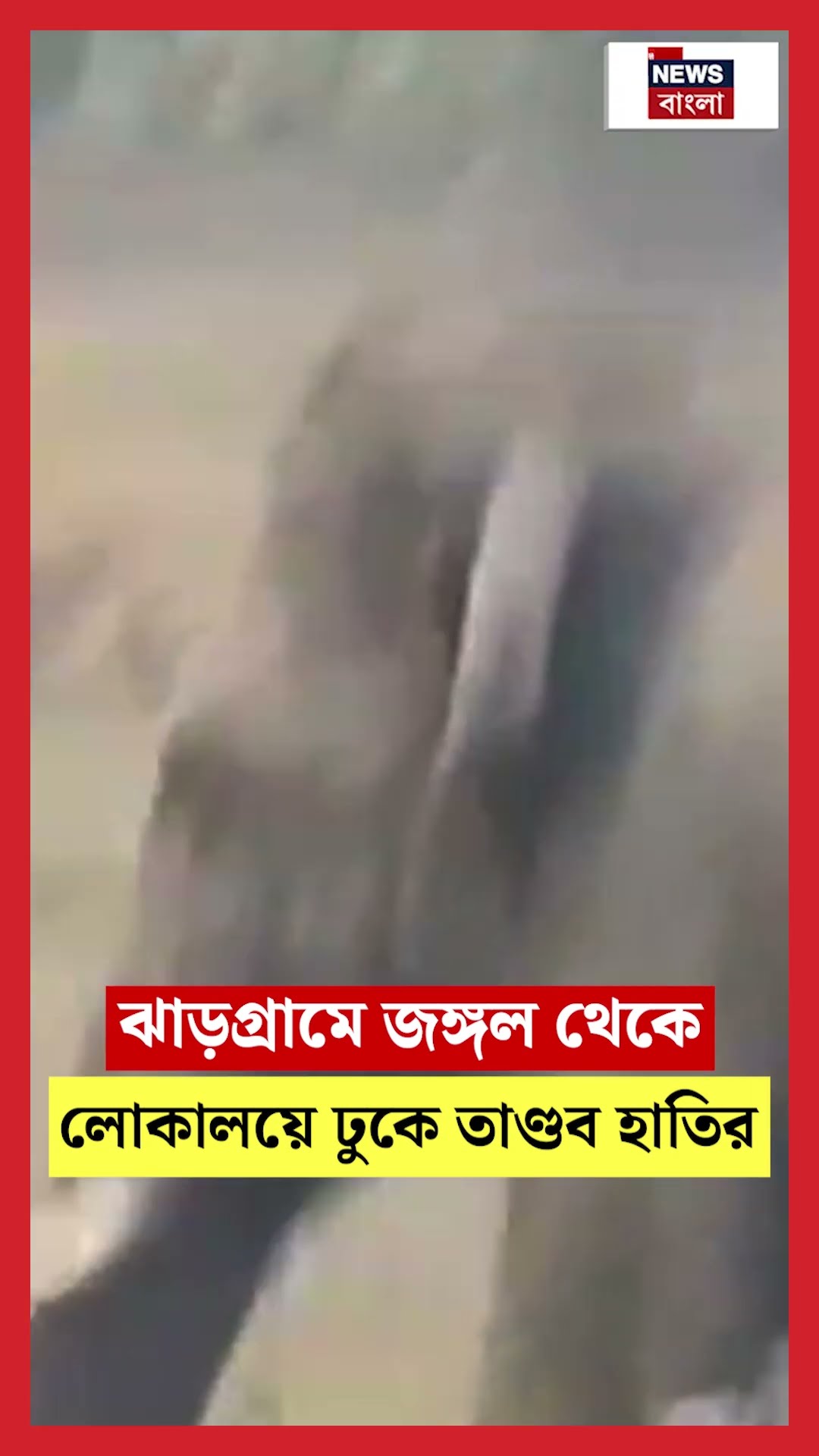 Jhargram এ জঙ্গল থেকে লোকালয়ে ঢুকে তাণ্ডব হাতির | N18S #shorts
