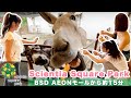Science Square Park🐐🥕🌱BSDにある大きな公園に行ってみた！Indonesia |ジャカルタ|海外
