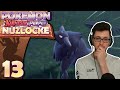 Wilde Pokémon sind ein Problem.. | Pokémon Purpur Nuzlocke | 13