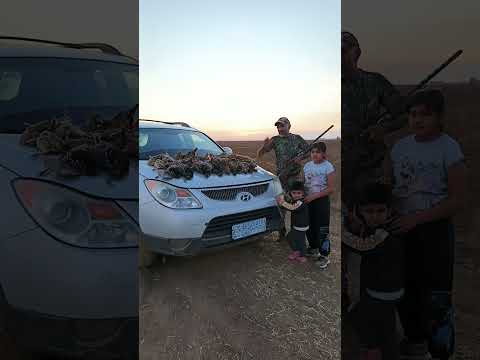 صيدالدراج بدايه مواسم الصيد 