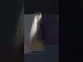 R.E.P.O VR mod - внезапный гусь #vr  #funnymoments #repo #scary #gaming repoxr #игры