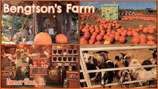 Bengtson's Farm | Homer Glen, IL