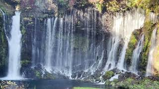 滝の動画 1時間 Waterfall 1 hour by rockvsjazz 75 views 5 months ago 1 hour